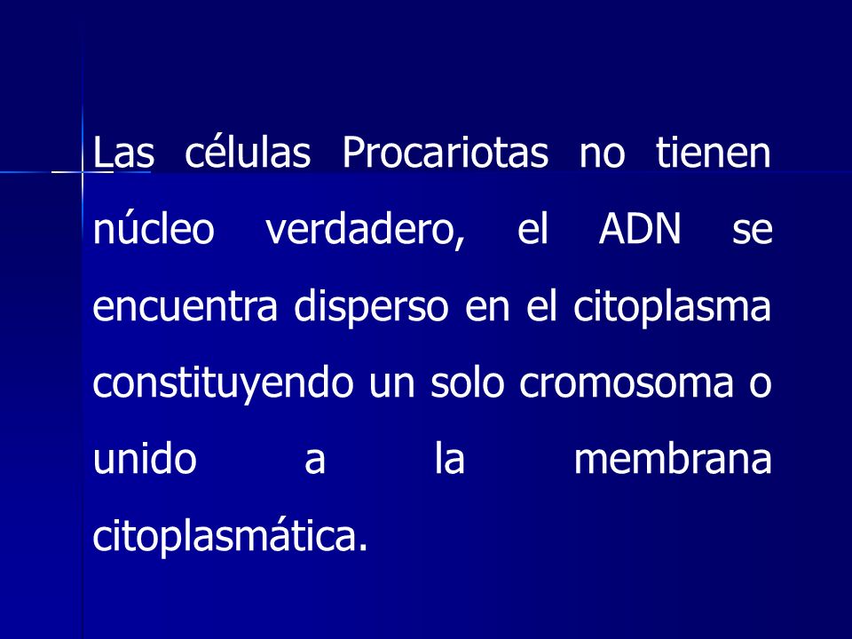 Las células Procariotas no tienen núcleo verdadero, el ADN se encuentra disperso en el citoplasma constituyendo un solo cromosoma o unido a la membrana citoplasmática.