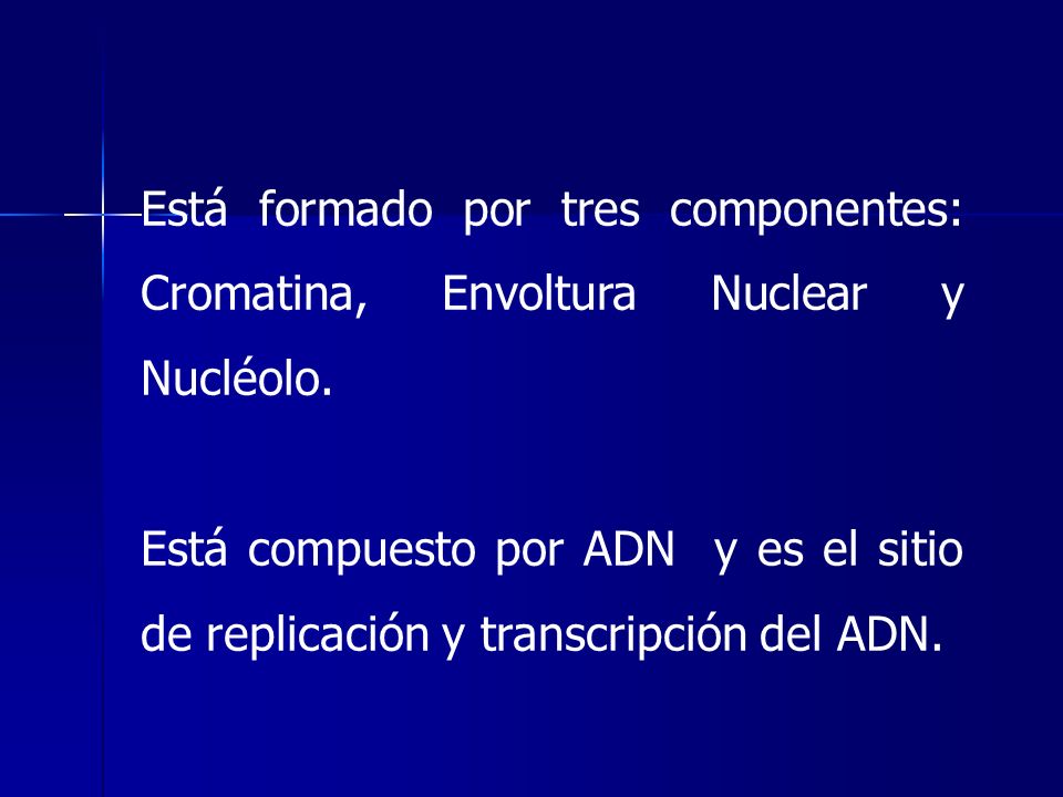 Está formado por tres componentes: Cromatina, Envoltura Nuclear y Nucléolo.