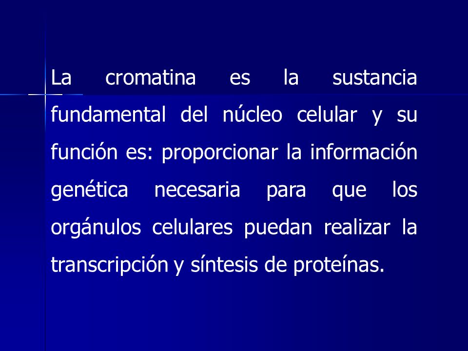 La cromatina es la sustancia fundamental del núcleo celular y su función es: proporcionar la información genética necesaria para que los orgánulos celulares puedan realizar la transcripción y síntesis de proteínas.