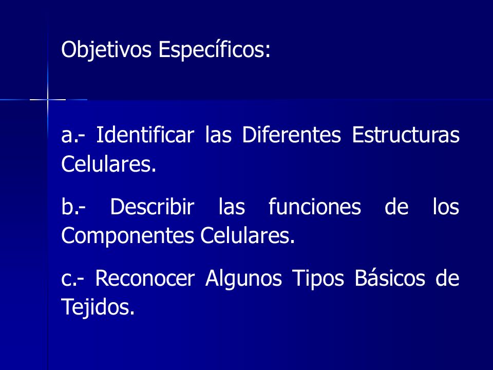 Objetivos Específicos:
