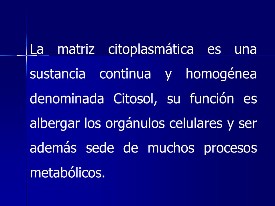 La matriz citoplasmática es una sustancia continua y homogénea denominada Citosol, su función es albergar los orgánulos celulares y ser además sede de muchos procesos metabólicos.