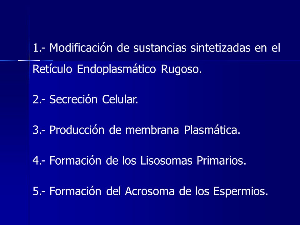 1.- Modificación de sustancias sintetizadas en el Retículo Endoplasmático Rugoso.