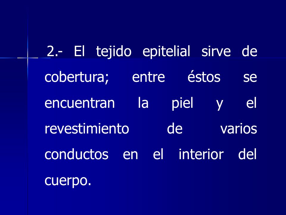 2.- El tejido epitelial sirve de cobertura; entre éstos se encuentran la piel y el revestimiento de varios conductos en el interior del cuerpo.