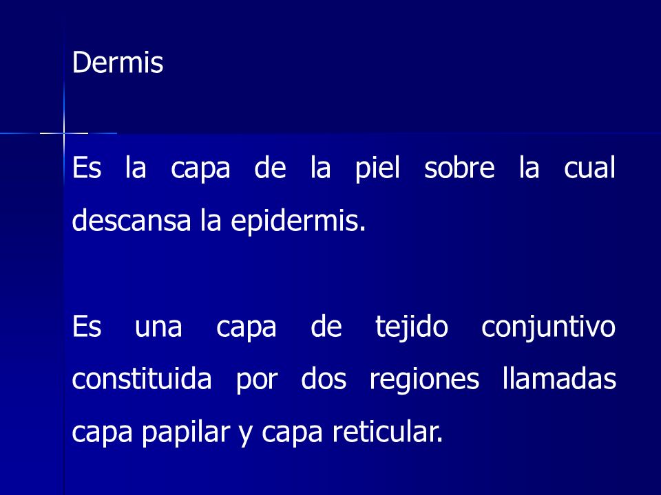 Dermis Es la capa de la piel sobre la cual descansa la epidermis.