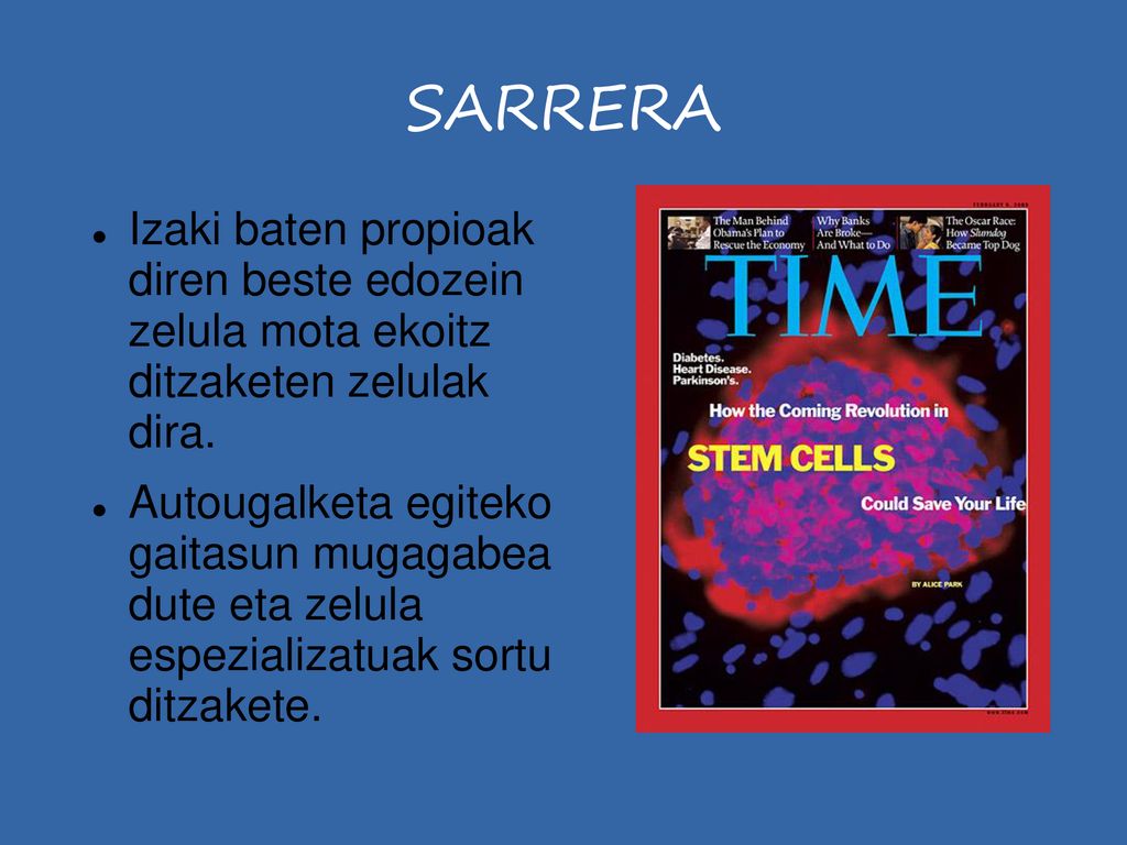 SARRERA Izaki baten propioak diren beste edozein zelula mota ekoitz ditzaketen zelulak dira.