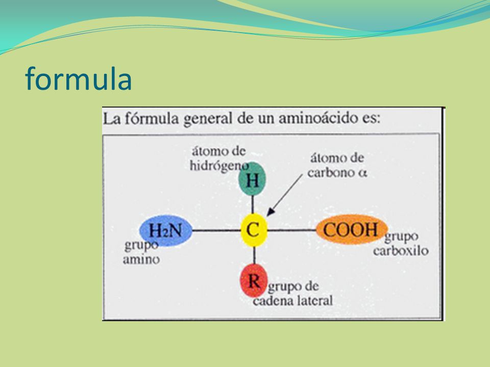 formula