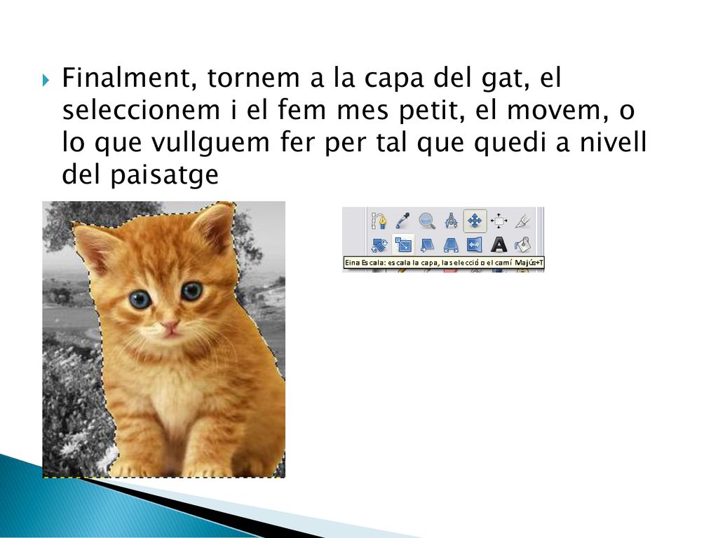Finalment, tornem a la capa del gat, el seleccionem i el fem mes petit, el movem, o lo que vullguem fer per tal que quedi a nivell del paisatge
