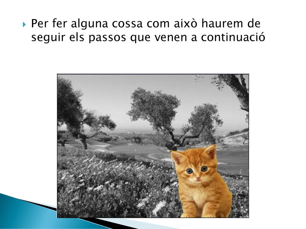 Per fer alguna cossa com això haurem de seguir els passos que venen a continuació