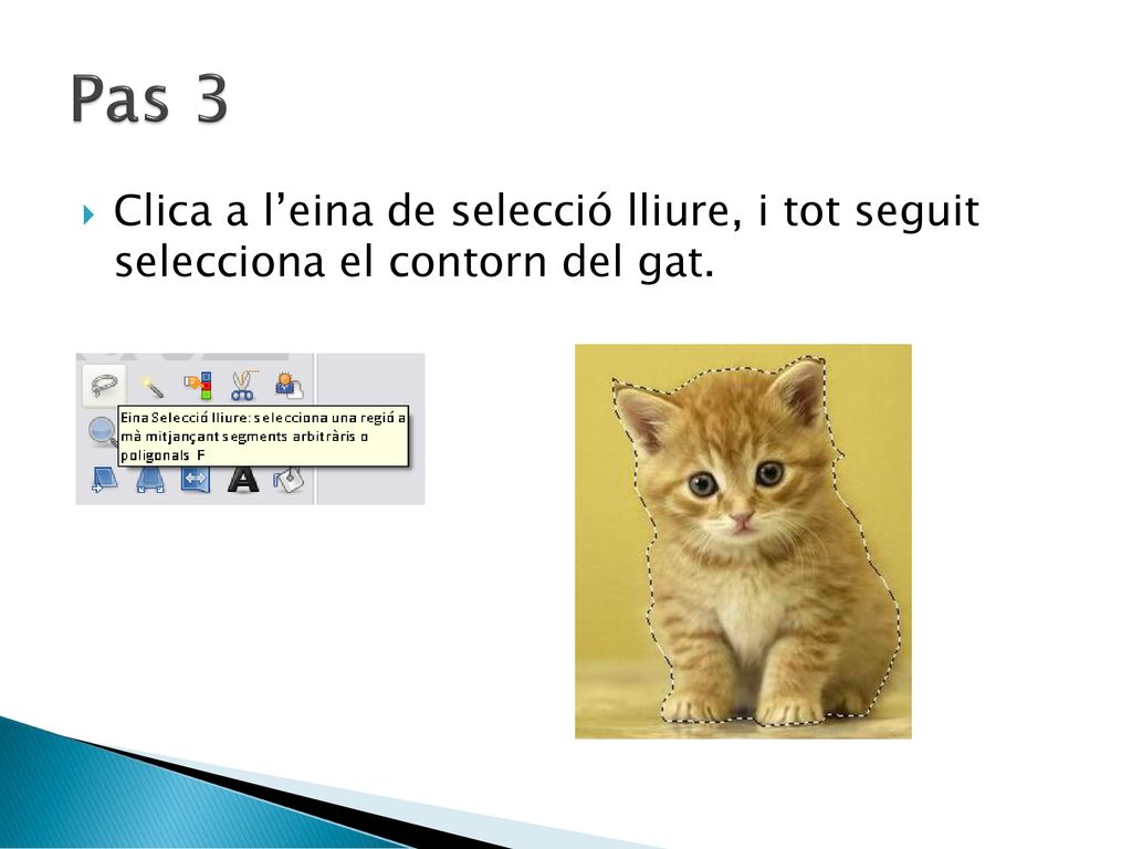 Pas 3 Clica a l’eina de selecció lliure, i tot seguit selecciona el contorn del gat.