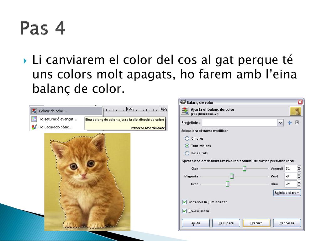 Pas 4 Li canviarem el color del cos al gat perque té uns colors molt apagats, ho farem amb l’eina balanç de color.