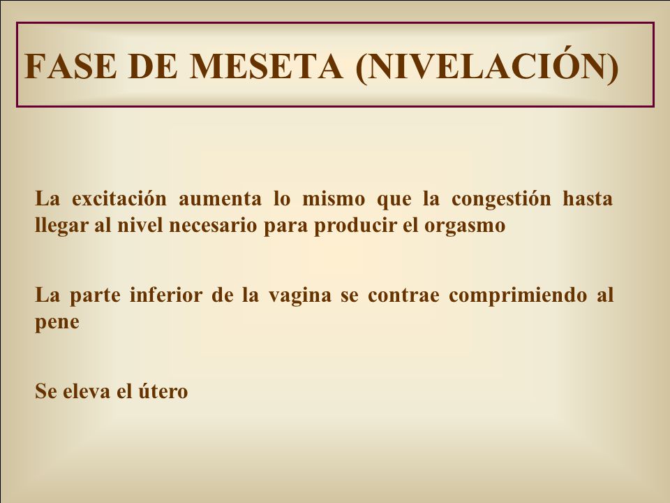 FASE DE MESETA (NIVELACIÓN)