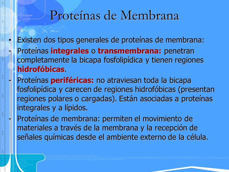 Proteínas de Membrana Existen dos tipos generales de proteínas de membrana: