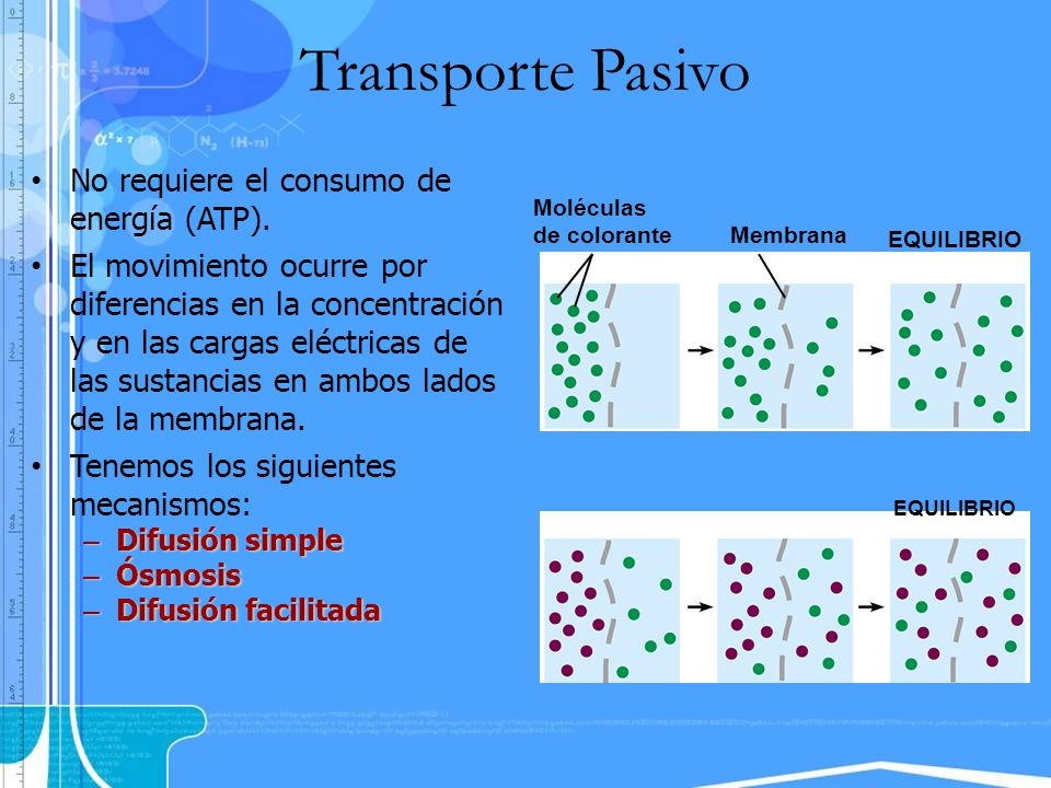 Transporte Pasivo No requiere el consumo de energía (ATP).