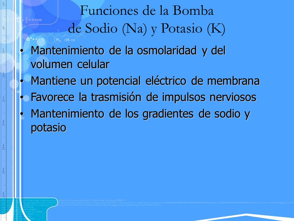 Funciones de la Bomba de Sodio (Na) y Potasio (K)