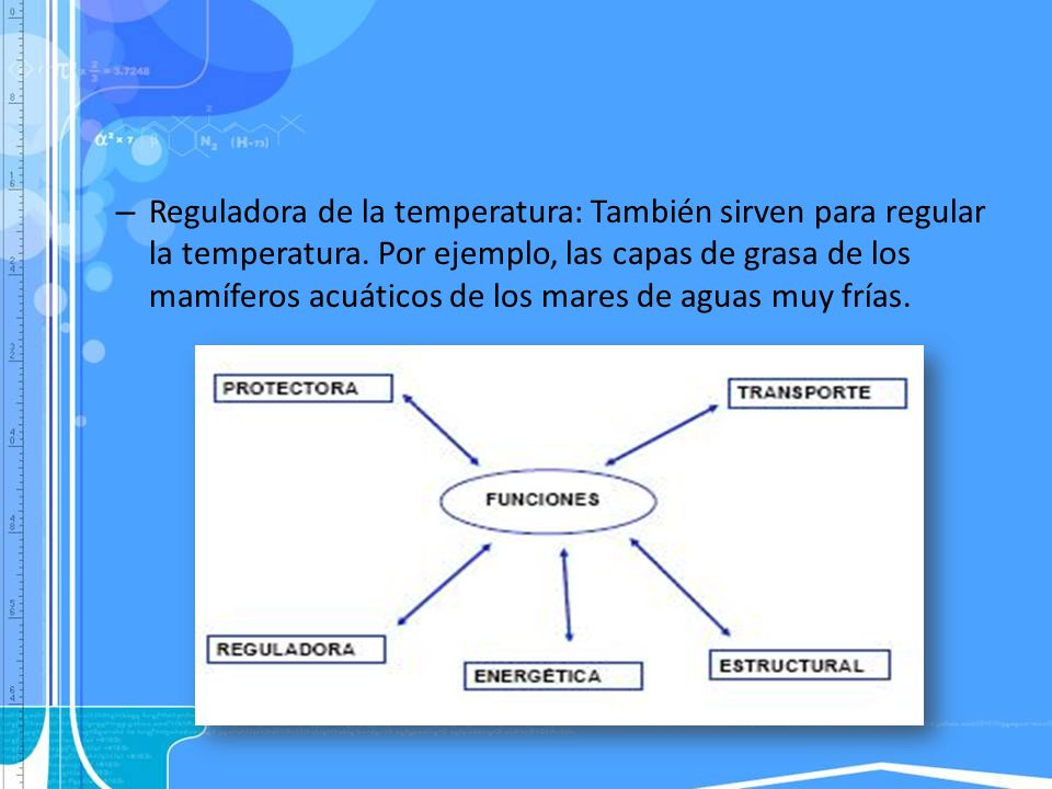 Reguladora de la temperatura: También sirven para regular la temperatura.