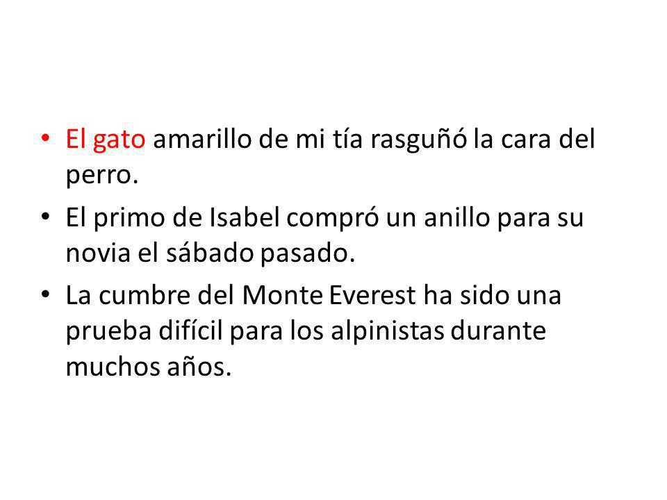 El gato amarillo de mi tía rasguñó la cara del perro.