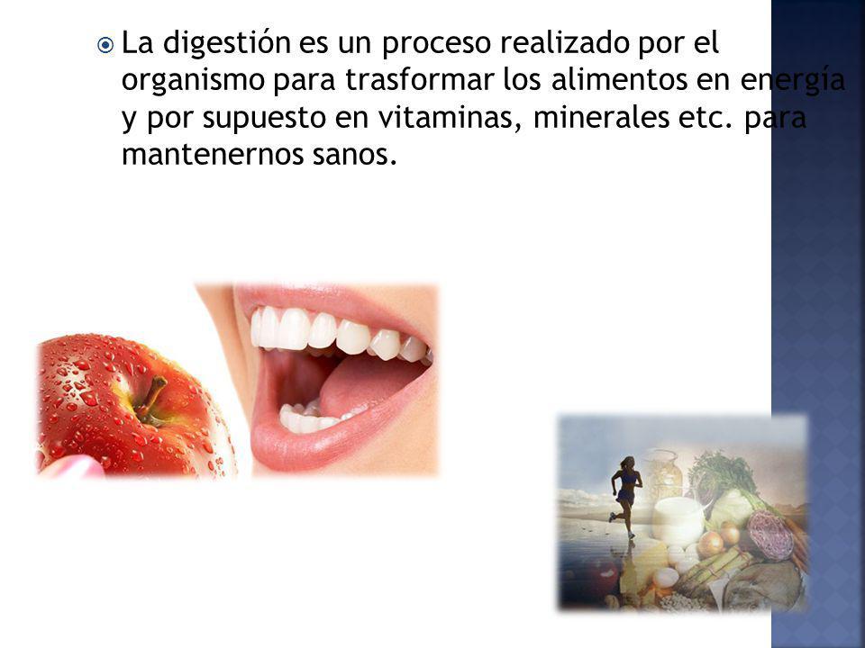 La digestión es un proceso realizado por el organismo para trasformar los alimentos en energía y por supuesto en vitaminas, minerales etc.