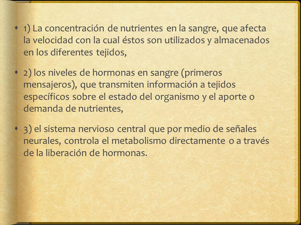 1) La concentración de nutrientes en la sangre, que afecta la velocidad con la cual éstos son utilizados y almacenados en los diferentes tejidos,