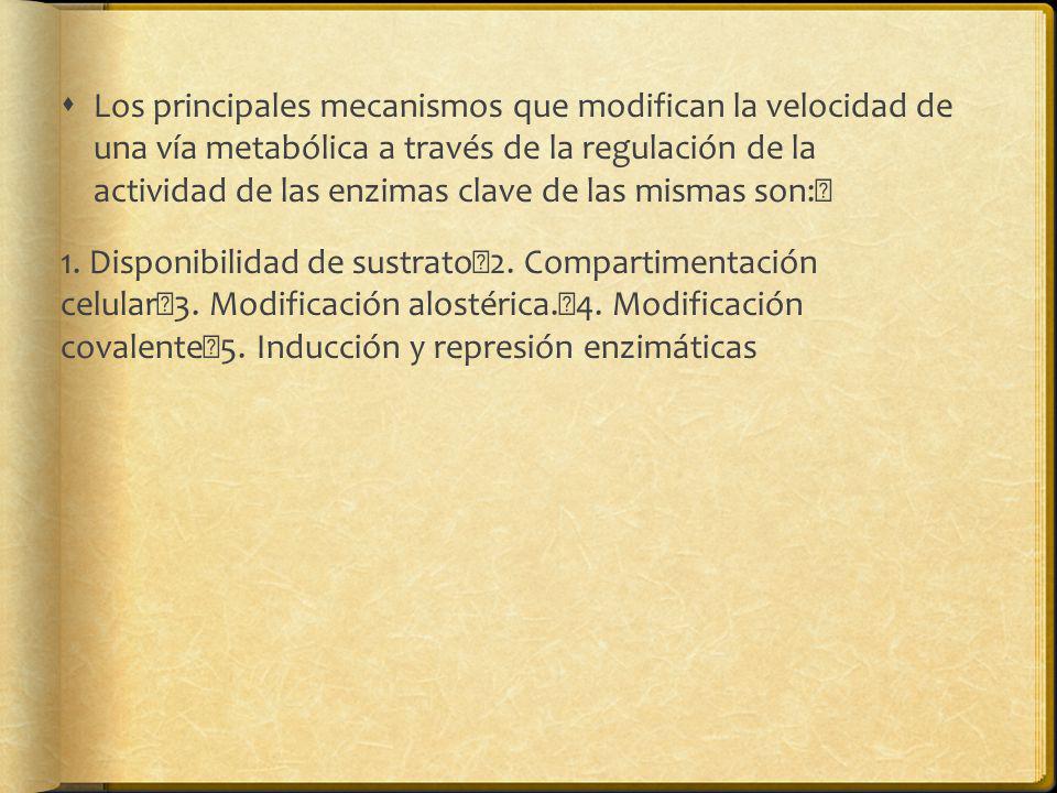 Los principales mecanismos que modifican la velocidad de una vía metabólica a través de la regulación de la actividad de las enzimas clave de las mismas son: