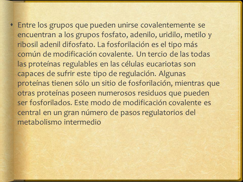 Entre los grupos que pueden unirse covalentemente se encuentran a los grupos fosfato, adenilo, uridilo, metilo y ribosil adenil difosfato.