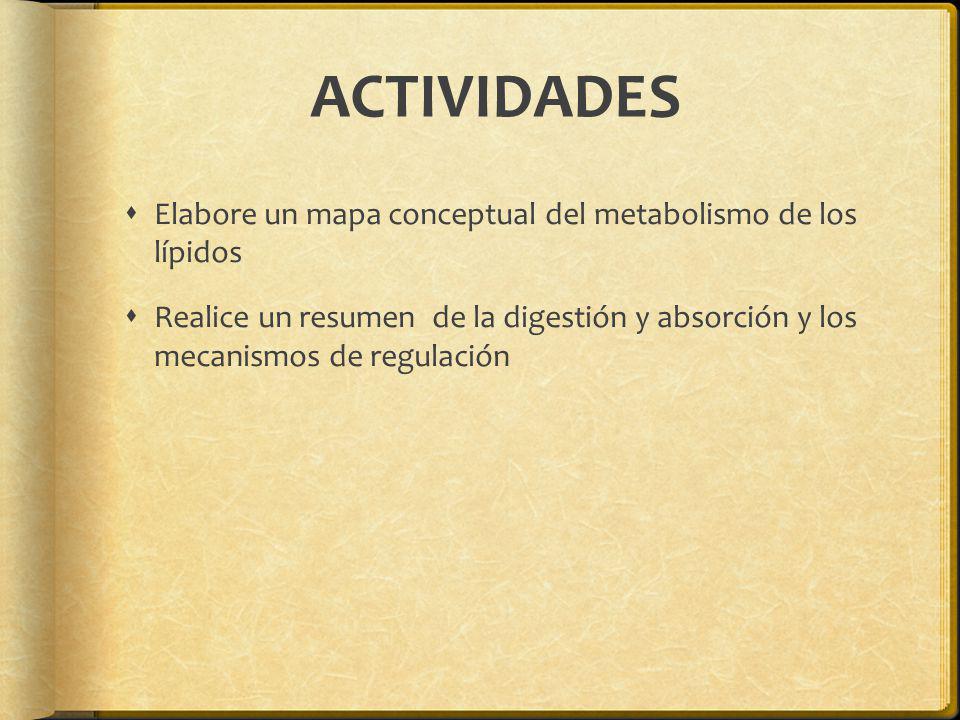 ACTIVIDADES Elabore un mapa conceptual del metabolismo de los lípidos