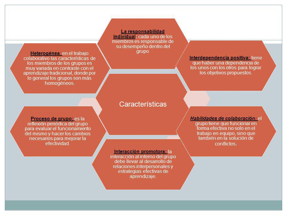 Características La responsabilidad individual: cada uno de los miembros es responsable de su desempeño dentro del grupo.