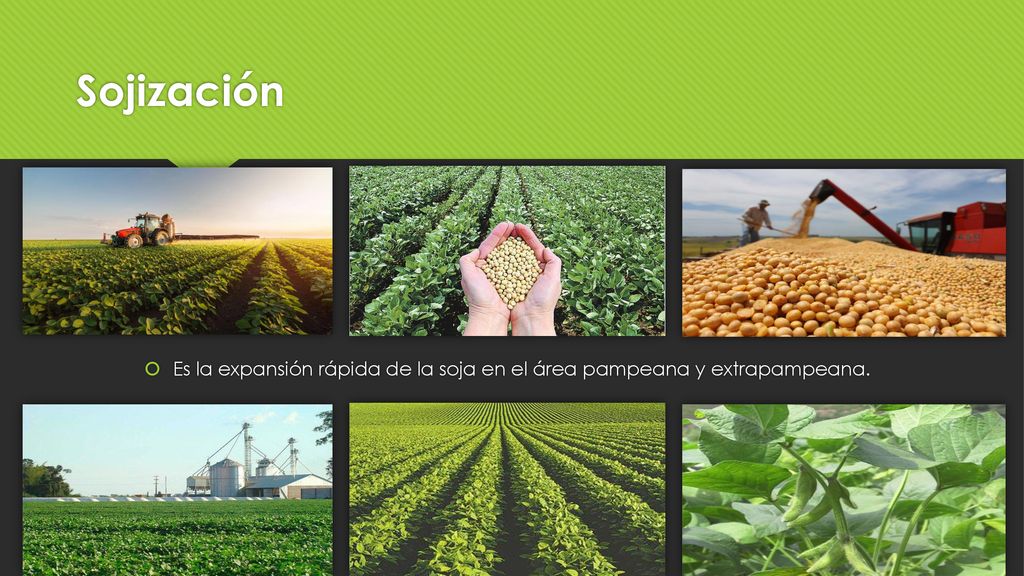Sojización Es la expansión rápida de la soja en el área pampeana y extrapampeana.