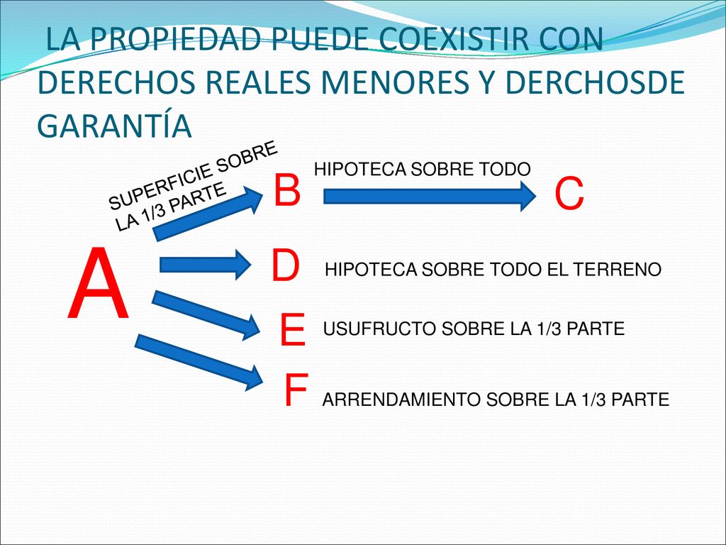 A B C D E F ARRENDAMIENTO SOBRE LA 1/3 PARTE