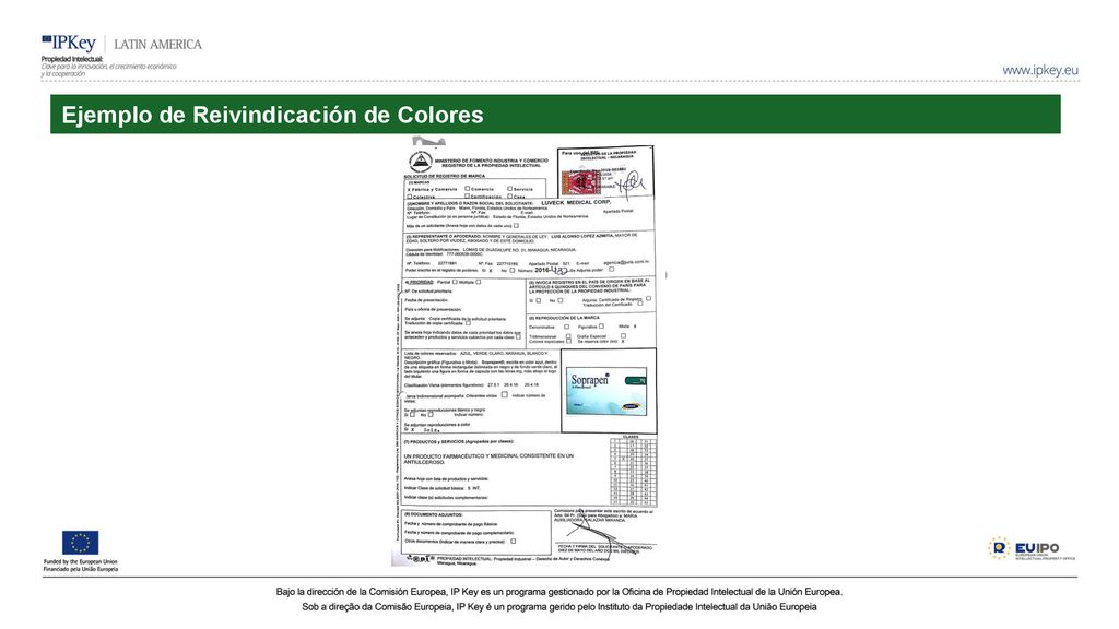 Ejemplo de Reivindicación de Colores