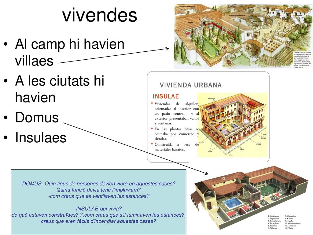 vivendes Al camp hi havien villaes A les ciutats hi havien Domus