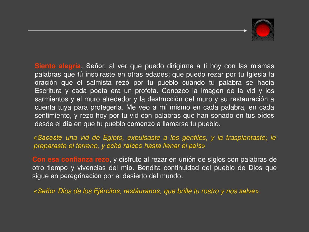 Siento alegría, Señor, al ver que puedo dirigirme a ti hoy con las mismas palabras que tú inspiraste en otras edades; que puedo rezar por tu Iglesia la oración que el salmista rezó por tu pueblo cuando tu palabra se hacía Escritura y cada poeta era un profeta. Conozco la imagen de la vid y los sarmientos y el muro alrededor y la destrucción del muro y su restauración a cuenta tuya para protegerla. Me veo a mí mismo en cada palabra, en cada sentimiento, y rezo hoy por tu vid con palabras que han sonado en tus oídos desde el día en que tu pueblo comenzó a llamarse tu pueblo.