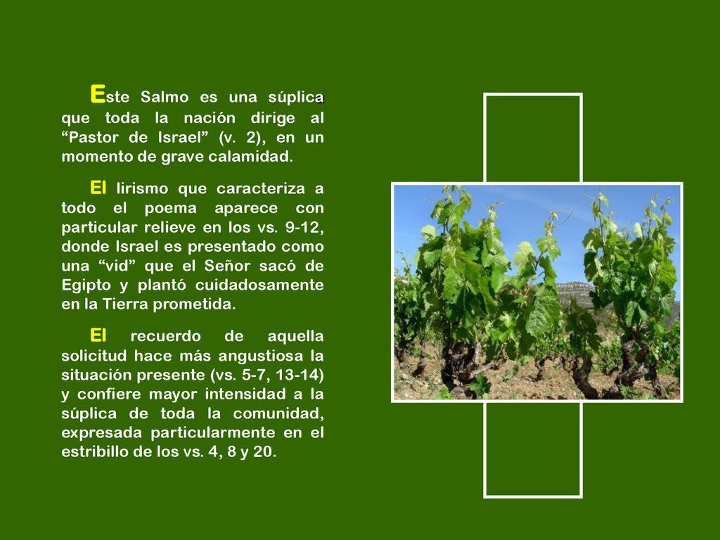 Este Salmo es una súplica que toda la nación dirige al Pastor de Israel (v. 2), en un momento de grave calamidad.
