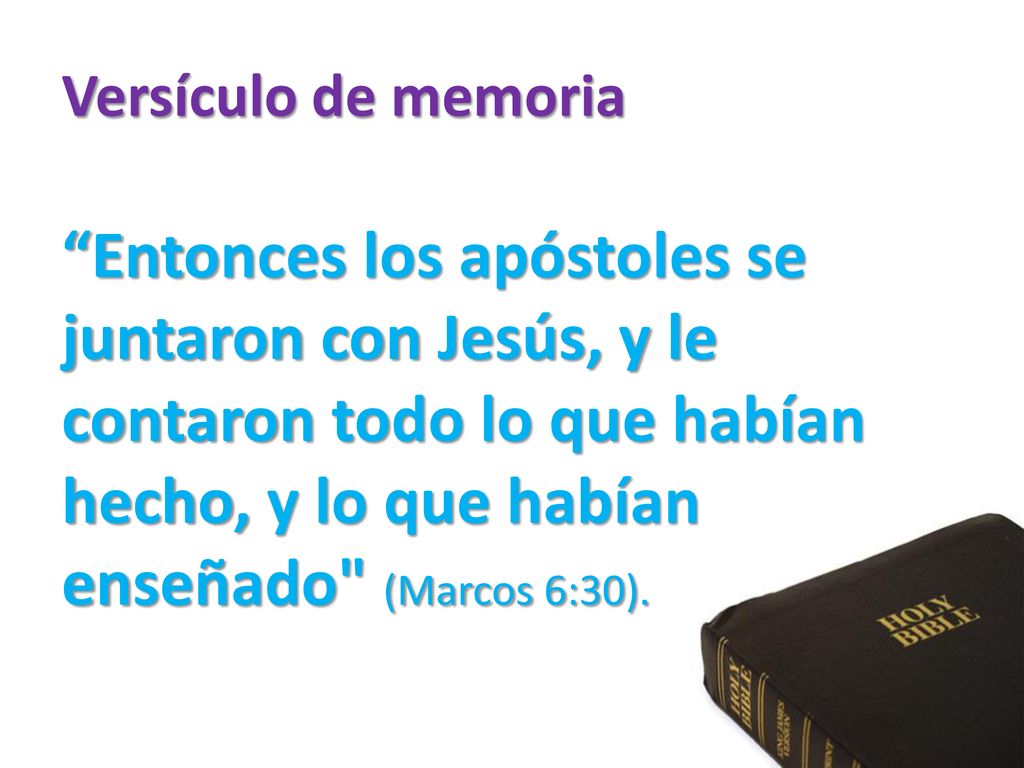 Versículo de memoria Entonces los apóstoles se juntaron con Jesús, y le contaron todo lo que habían hecho, y lo que habían enseñado (Marcos 6:30).