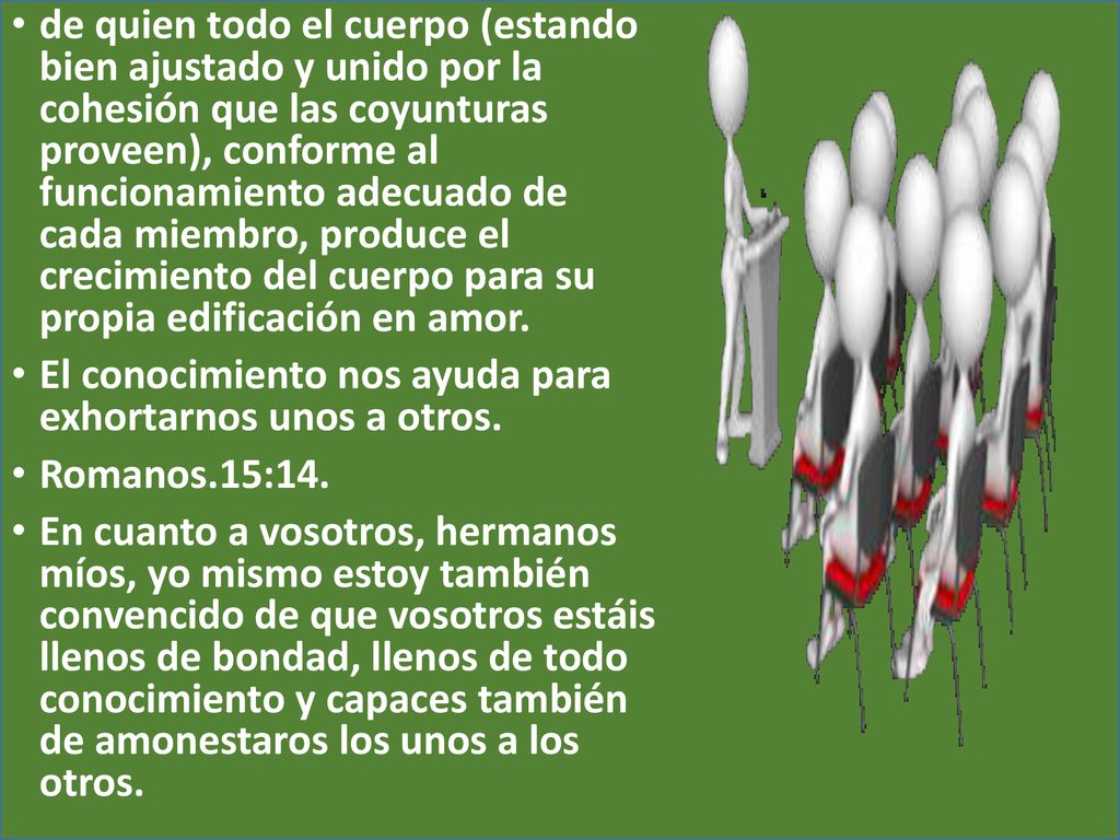 de quien todo el cuerpo (estando bien ajustado y unido por la cohesión que las coyunturas proveen), conforme al funcionamiento adecuado de cada miembro, produce el crecimiento del cuerpo para su propia edificación en amor.