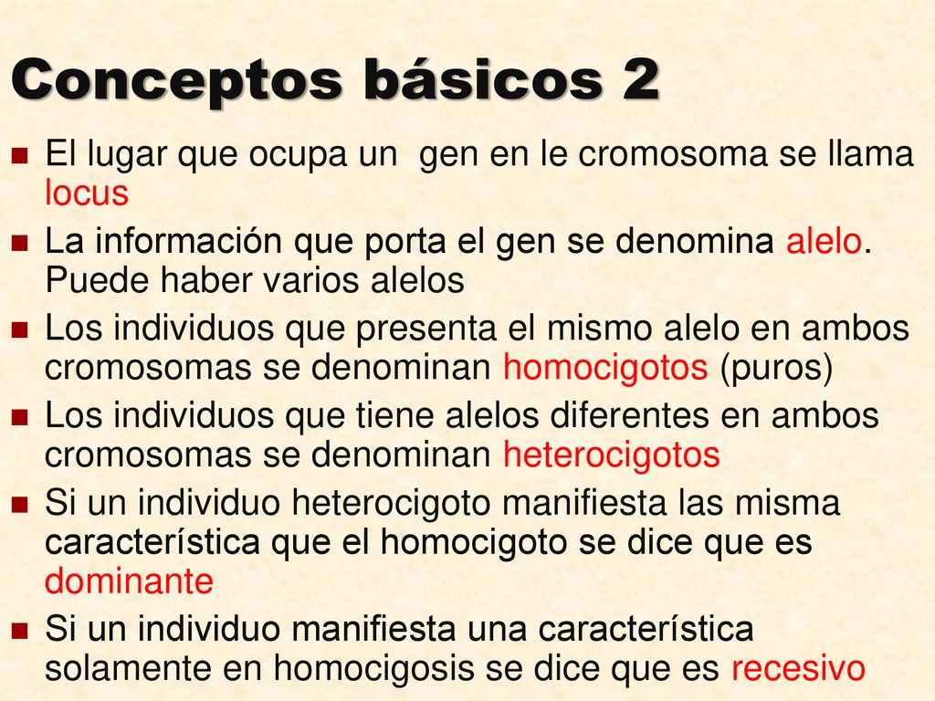 Conceptos básicos 2 El lugar que ocupa un gen en le cromosoma se llama locus.