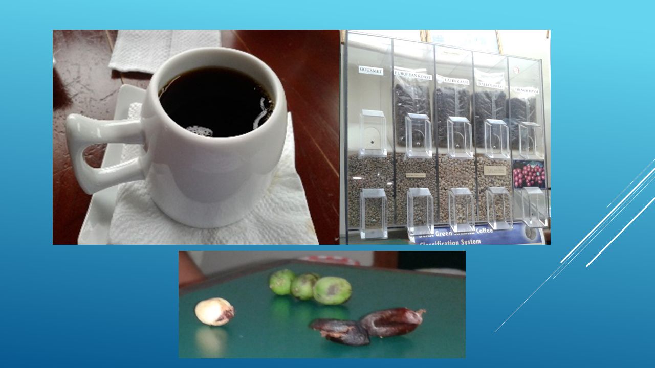 Los principales productos que se elaboran en esta industria es el café, sea en sus distintas variedades y formas (entiéndase café: en polvo, en grano, a la francesa, a la italiana, sobre calentado, verde, etcétera).