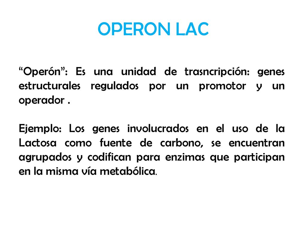 OPERON LAC Operón : Es una unidad de trasncripción: genes estructurales regulados por un promotor y un operador .