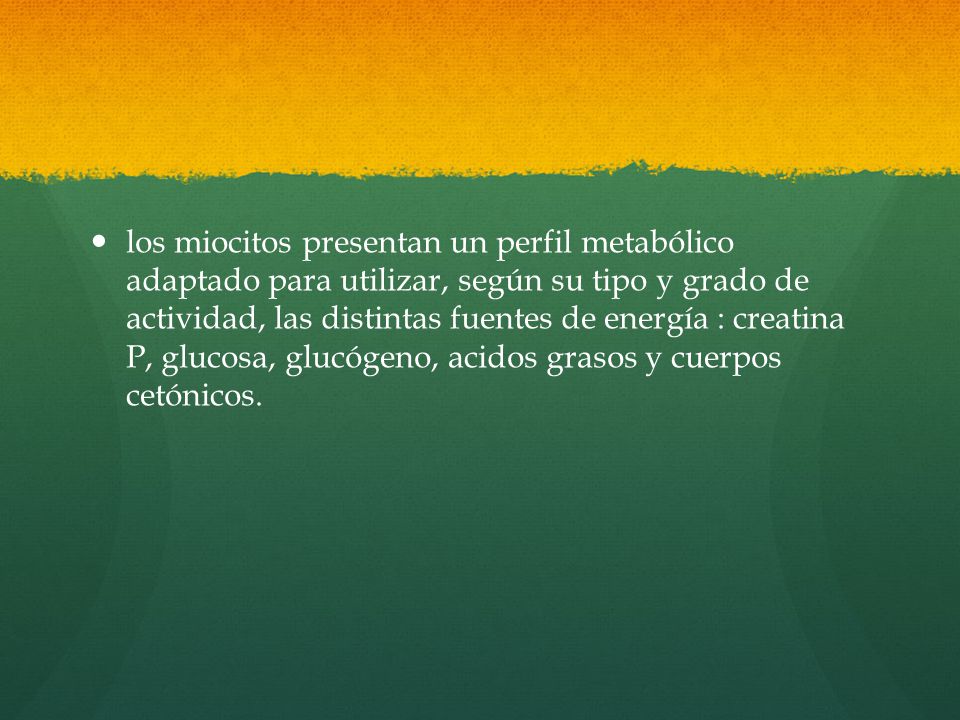los miocitos presentan un perfil metabólico adaptado para utilizar, según su tipo y grado de actividad, las distintas fuentes de energía : creatina P, glucosa, glucógeno, acidos grasos y cuerpos cetónicos.