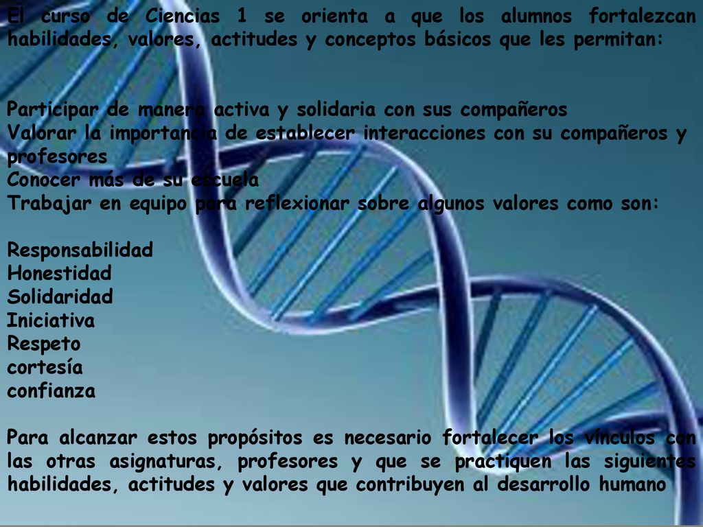 El curso de Ciencias 1 se orienta a que los alumnos fortalezcan habilidades, valores, actitudes y conceptos básicos que les permitan:
