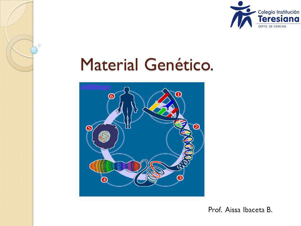 Material Genético. Prof. Aissa Ibaceta B.
