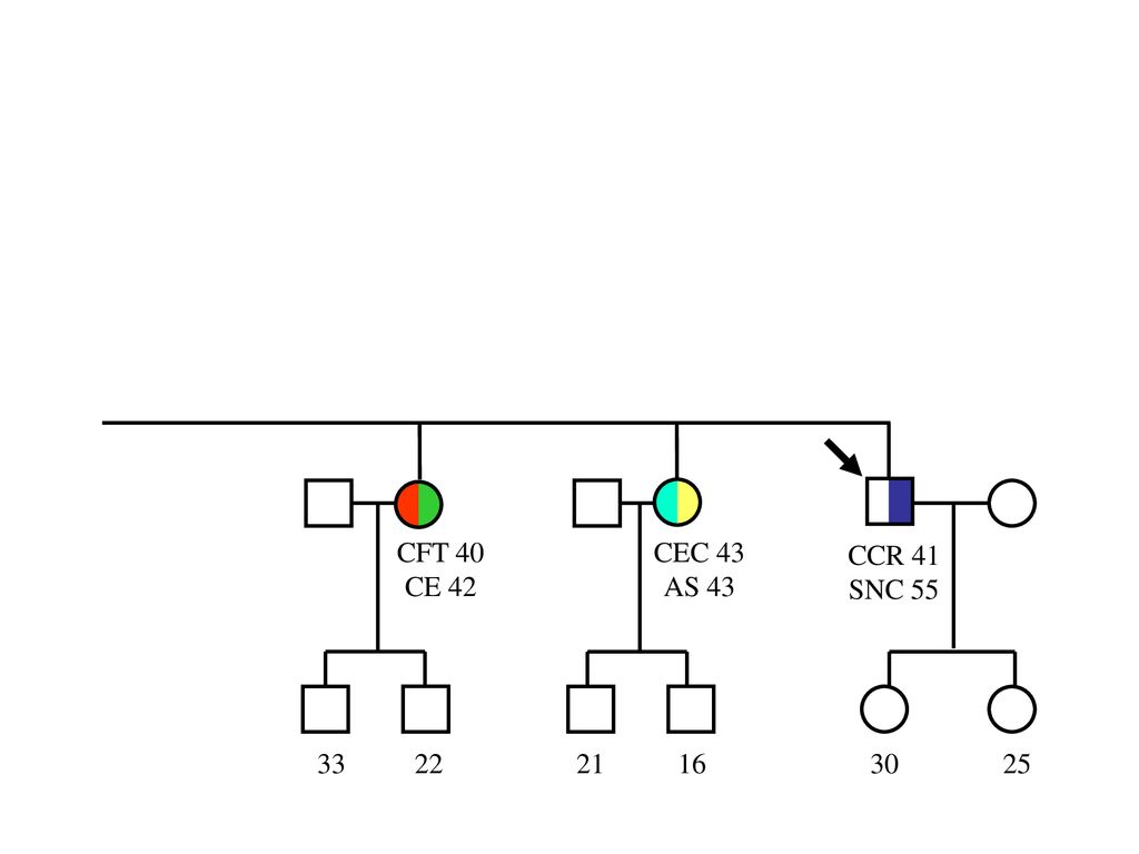 CFT 40 CE 42 CEC 43 AS 43 CCR 41 SNC