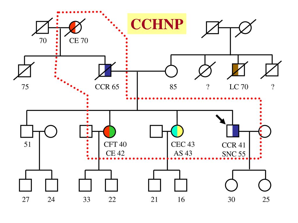 CCHNP CE 70 CCR LC CFT 40 CE 42 CEC 43 AS 43