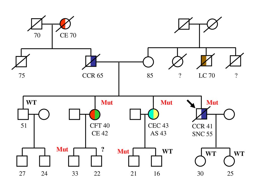 CE 70 CCR LC CFT 40 CE 42 CEC 43 AS 43 CCR 41