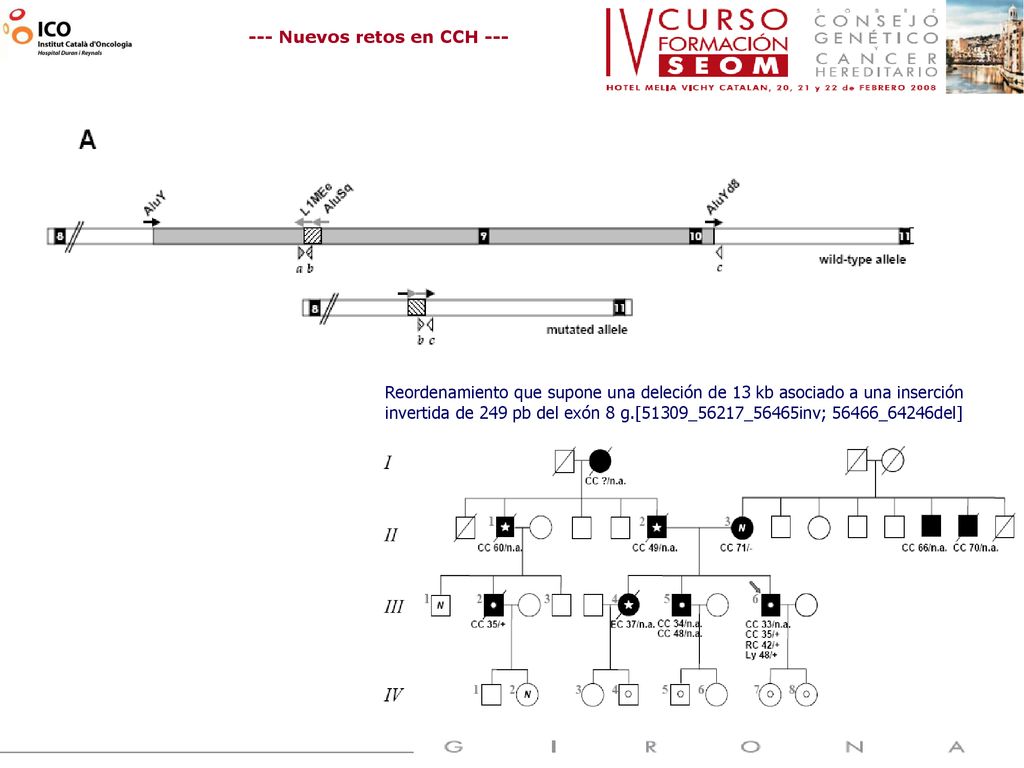 Reordenamiento que supone una deleción de 13 kb asociado a una inserción invertida de 249 pb del exón 8 g.[51309_56217_56465inv; 56466_64246del]