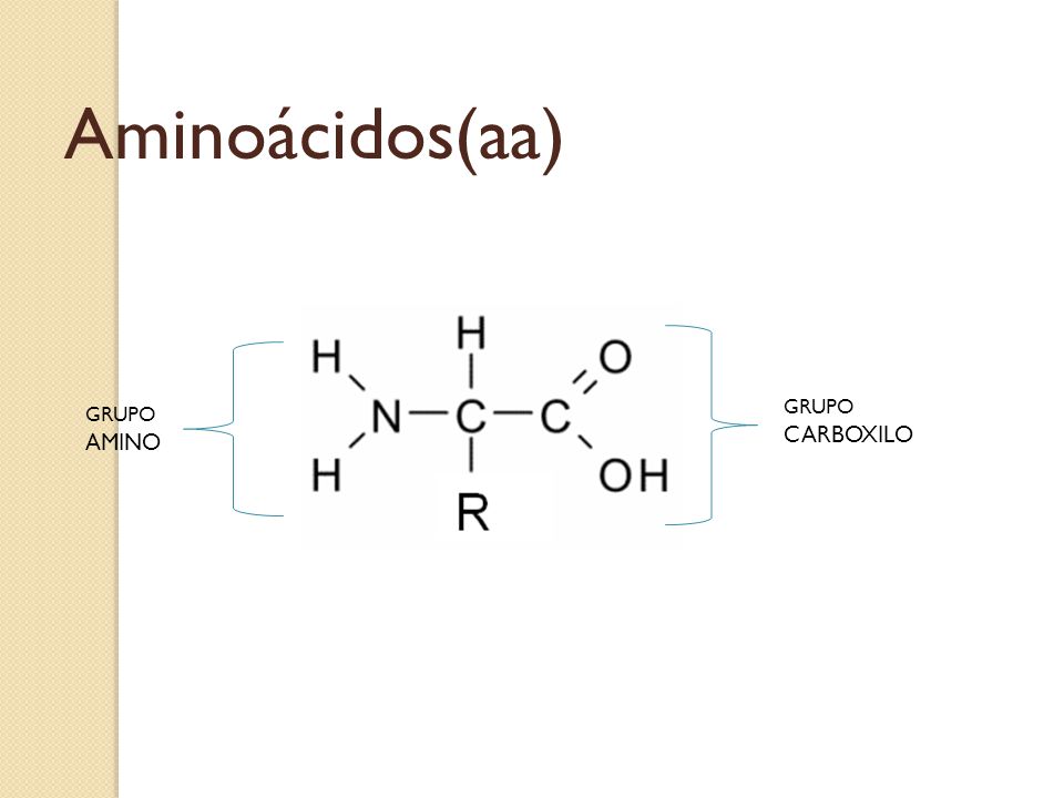 Aminoácidos(aa) GRUPO CARBOXILO GRUPO AMINO