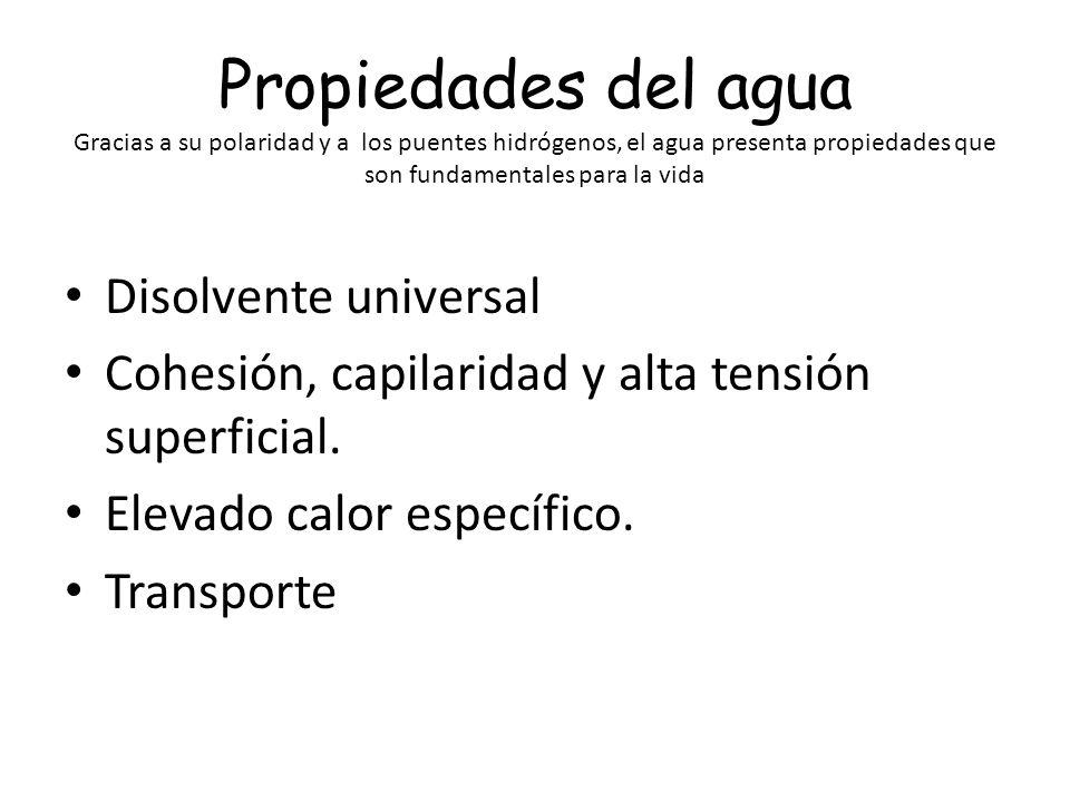 Propiedades del agua Gracias a su polaridad y a los puentes hidrógenos, el agua presenta propiedades que son fundamentales para la vida