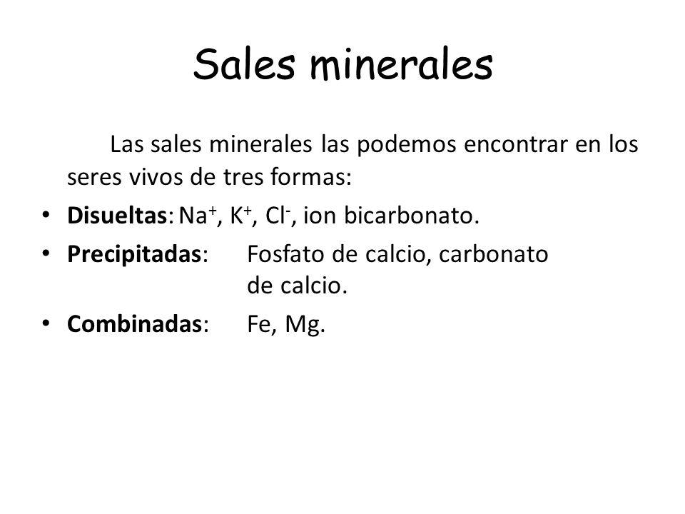 Sales minerales Las sales minerales las podemos encontrar en los seres vivos de tres formas: Disueltas: Na+, K+, Cl-, ion bicarbonato.