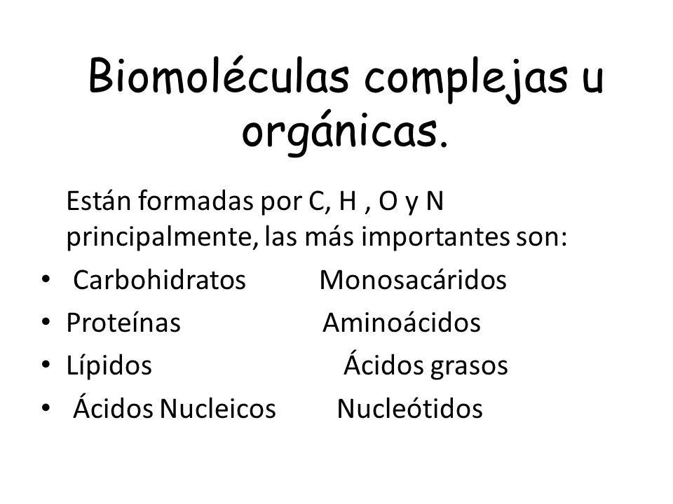 Biomoléculas complejas u orgánicas.