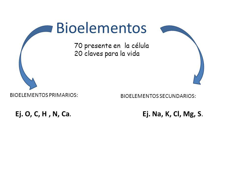 Bioelementos Ej. O, C, H , N, Ca. Ej. Na, K, Cl, Mg, S.
