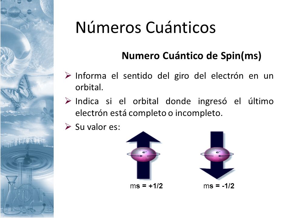 Numero Cuántico de Spin(ms)
